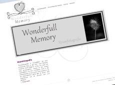 Wonderfull Memory